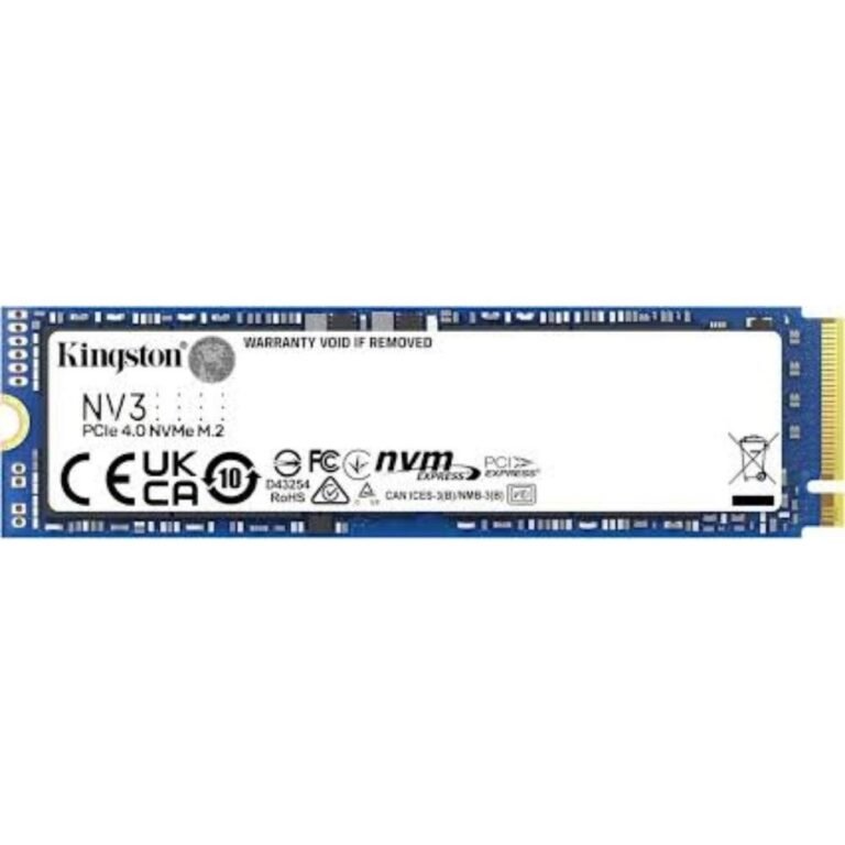 KINSNV3S/500G