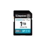 KINSDG4-1TB