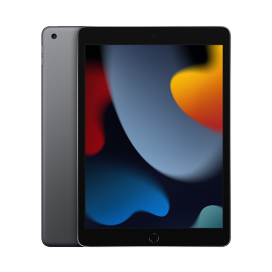 Tablet Apple iPad 10.2 9.Gen 256GB WiFi - Grey