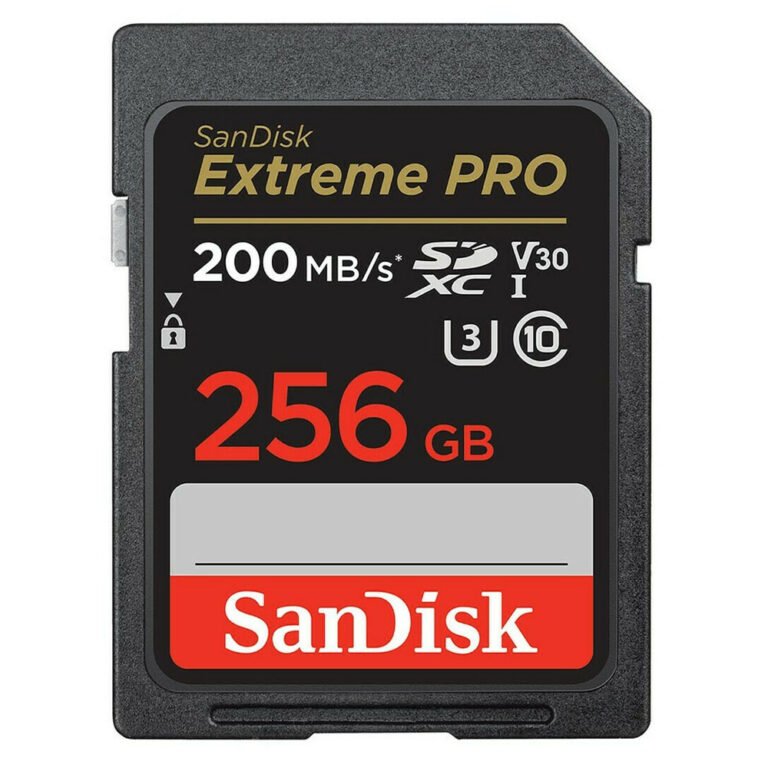 SANSDSDXXD-256G-GN4IN