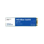 WDS250G3B0B